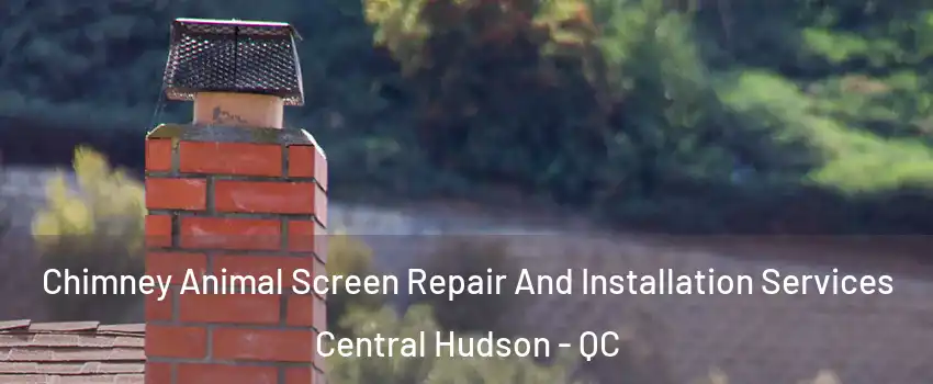  Chimney Animal Screen Repair And Installation Services Central Hudson - QC