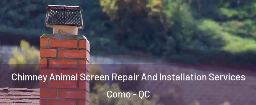  Chimney Animal Screen Repair And Installation Services Como - QC