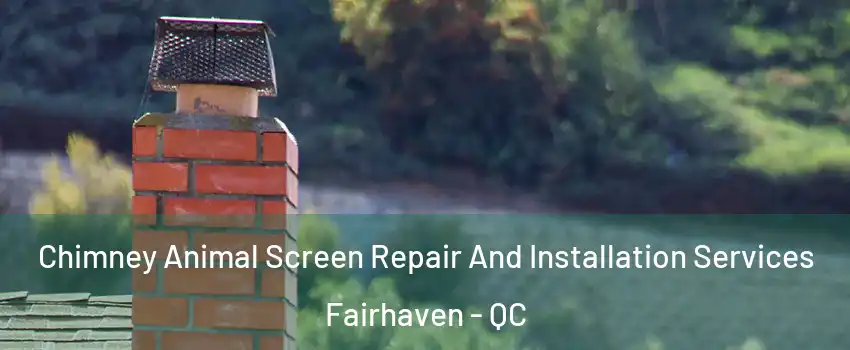  Chimney Animal Screen Repair And Installation Services Fairhaven - QC