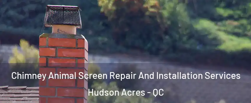  Chimney Animal Screen Repair And Installation Services Hudson Acres - QC