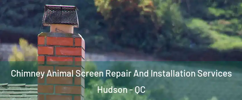  Chimney Animal Screen Repair And Installation Services Hudson - QC