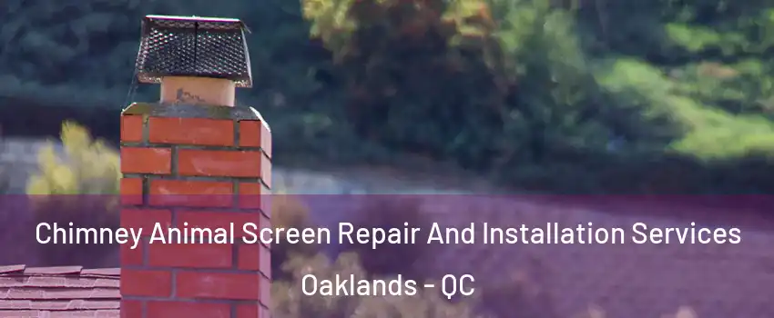  Chimney Animal Screen Repair And Installation Services Oaklands - QC
