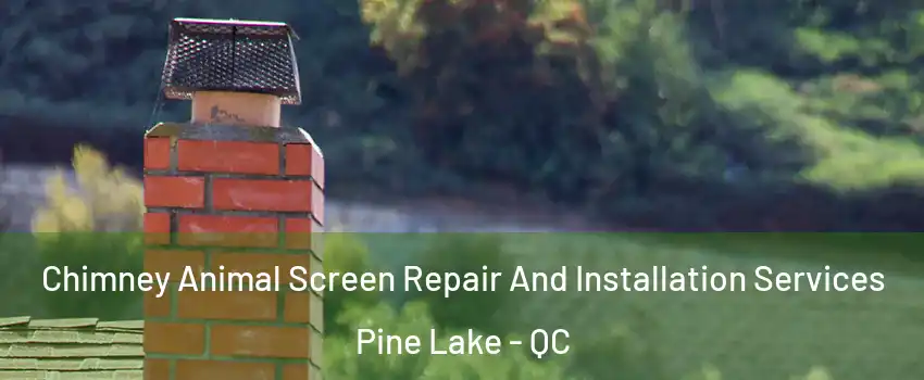  Chimney Animal Screen Repair And Installation Services Pine Lake - QC