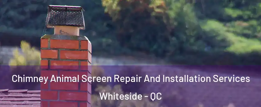 Chimney Animal Screen Repair And Installation Services Whiteside - QC