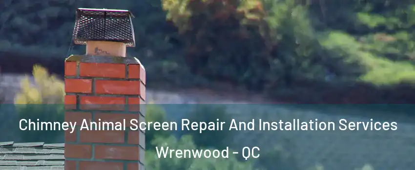  Chimney Animal Screen Repair And Installation Services Wrenwood - QC