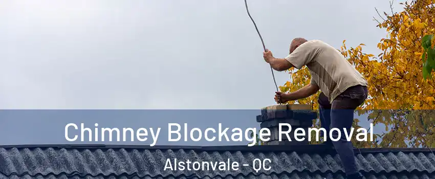  Chimney Blockage Removal Alstonvale - QC