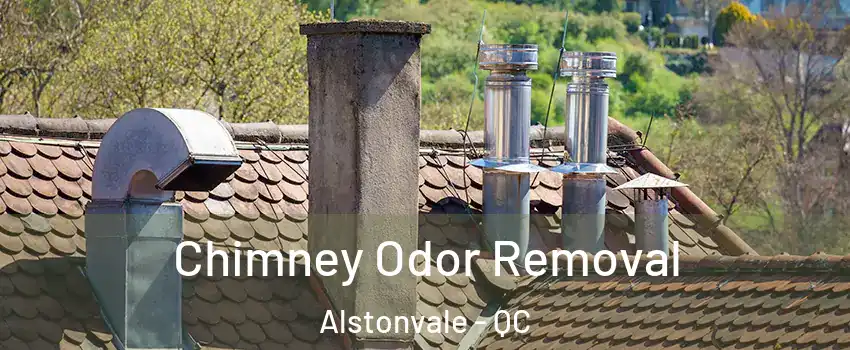  Chimney Odor Removal Alstonvale - QC
