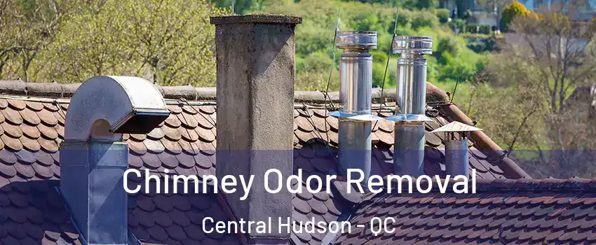  Chimney Odor Removal Central Hudson - QC