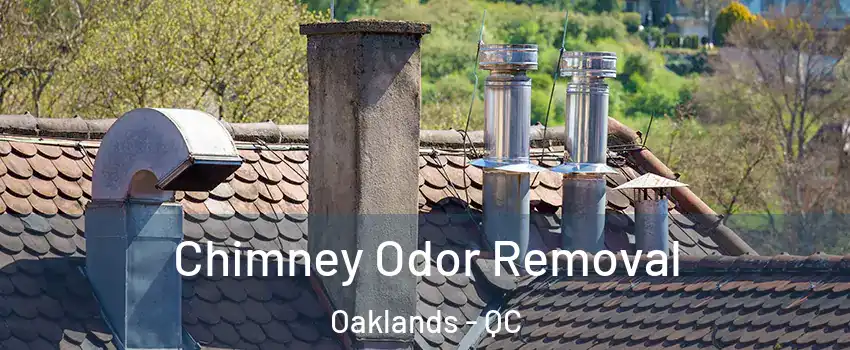  Chimney Odor Removal Oaklands - QC