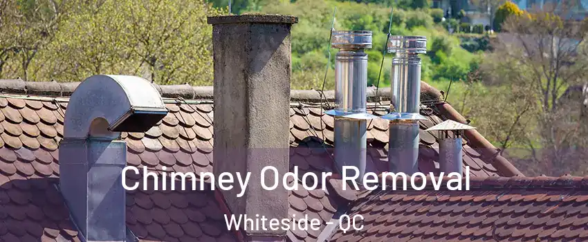  Chimney Odor Removal Whiteside - QC