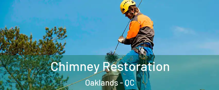  Chimney Restoration Oaklands - QC