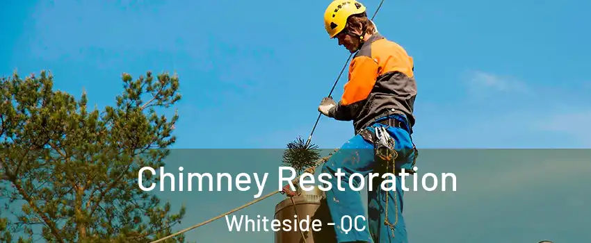  Chimney Restoration Whiteside - QC