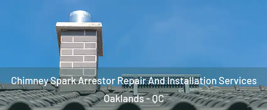  Chimney Spark Arrestor Repair And Installation Services Oaklands - QC