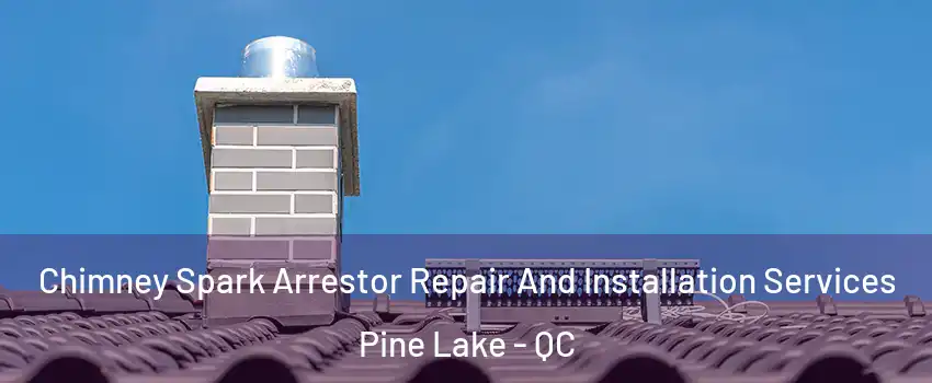  Chimney Spark Arrestor Repair And Installation Services Pine Lake - QC