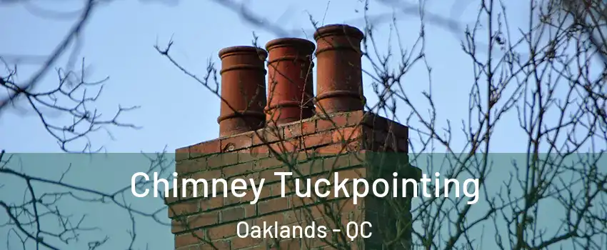  Chimney Tuckpointing Oaklands - QC