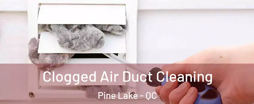  Clogged Air Duct Cleaning Pine Lake - QC