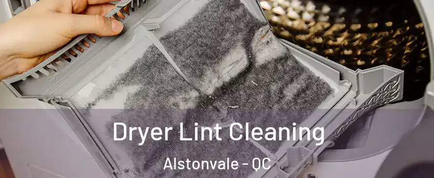  Dryer Lint Cleaning Alstonvale - QC