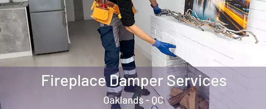  Fireplace Damper Services Oaklands - QC