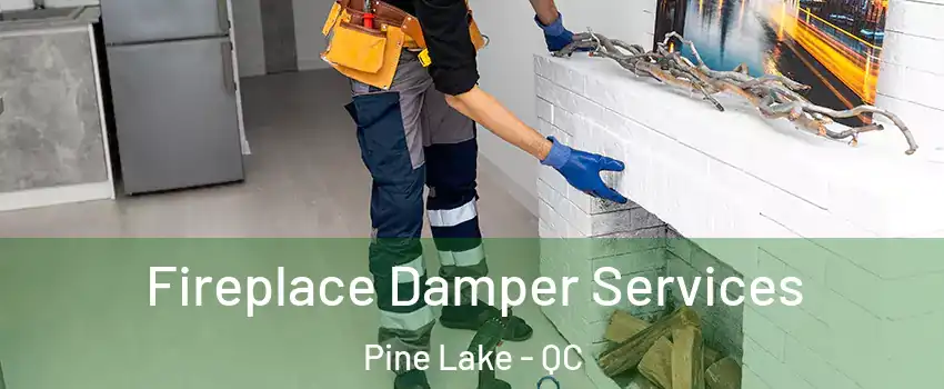  Fireplace Damper Services Pine Lake - QC
