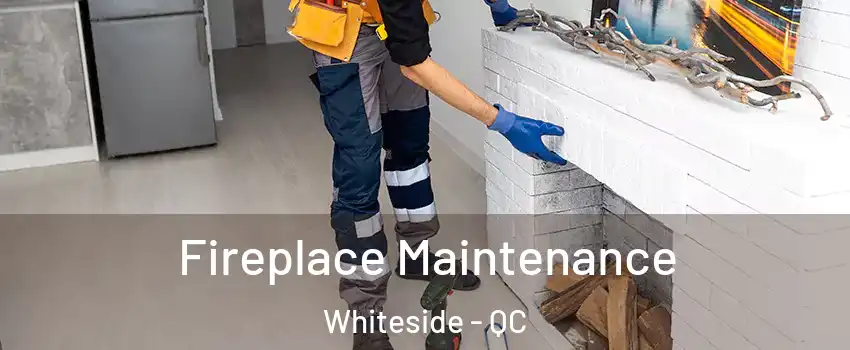  Fireplace Maintenance Whiteside - QC