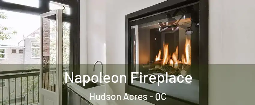  Napoleon Fireplace Hudson Acres - QC