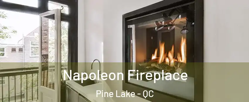  Napoleon Fireplace Pine Lake - QC