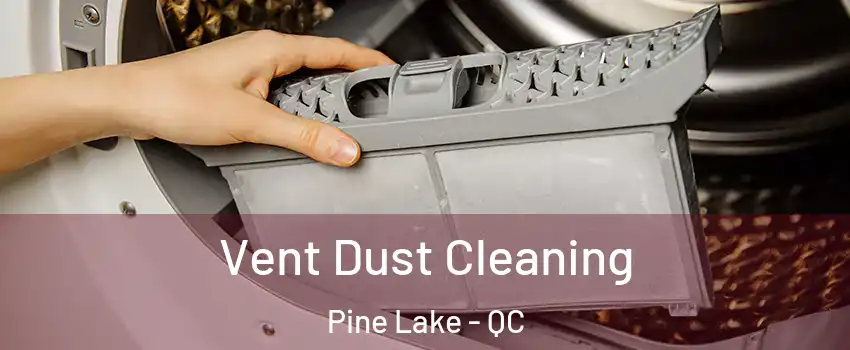  Vent Dust Cleaning Pine Lake - QC